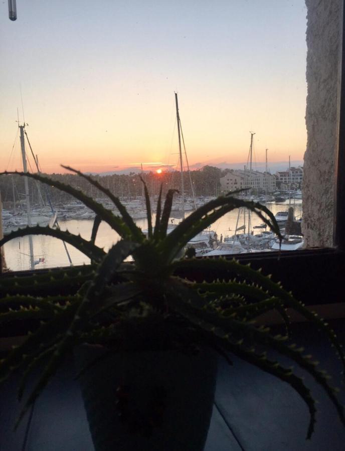 Appartement Petit Cocon magnifique vue sur Marina dans le golfe de Saint Tropez à Cogolin Extérieur photo