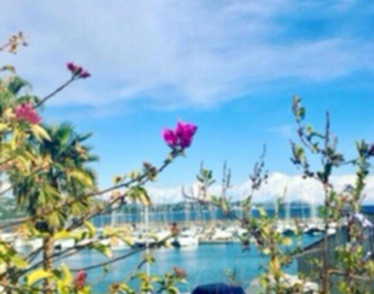 Appartement Petit Cocon magnifique vue sur Marina dans le golfe de Saint Tropez à Cogolin Extérieur photo
