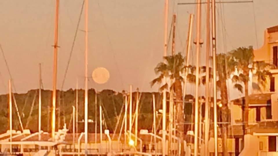 Appartement Petit Cocon magnifique vue sur Marina dans le golfe de Saint Tropez à Cogolin Extérieur photo